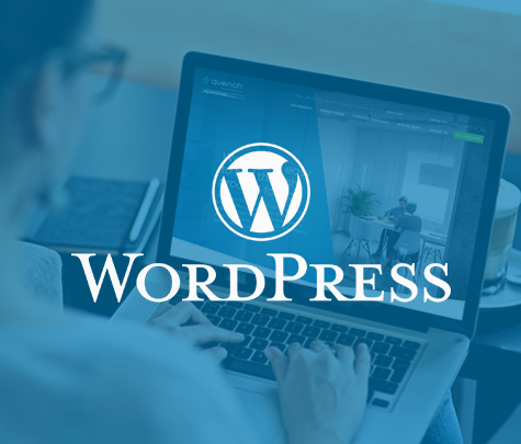 WordPress eCommerce Development Company in India