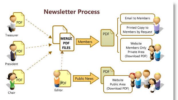 newsletter-emailer-design