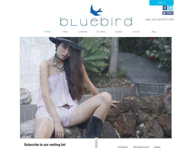Bluebirds Designs