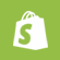 Hire Shopify Developer India-logo-image