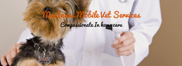 Whatcommobilevet