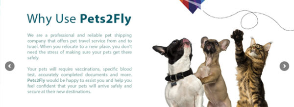 Pets2fly
