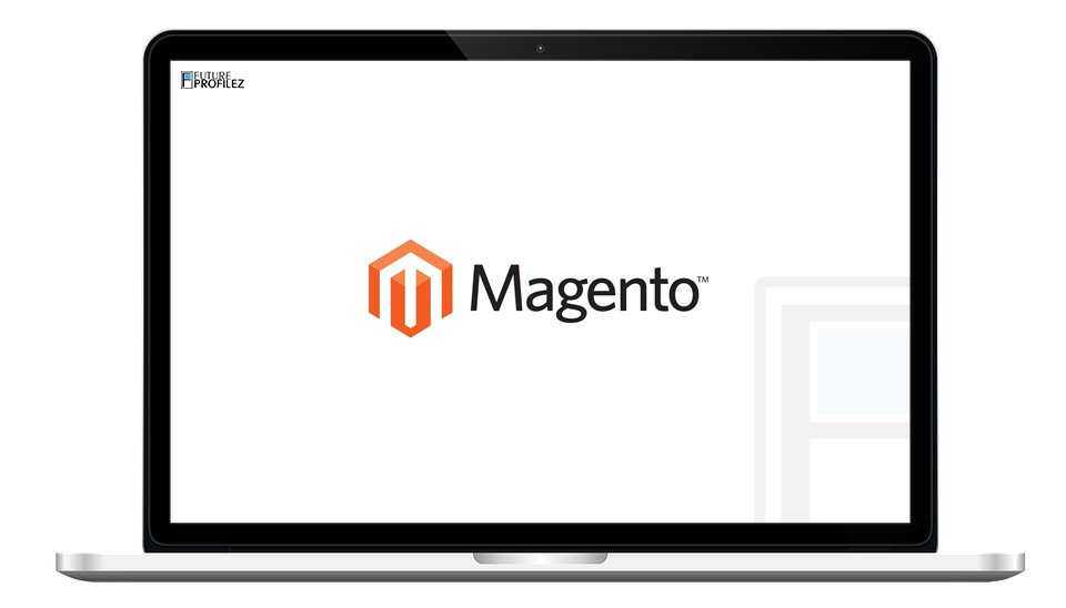 Magento Ecommerce Web Development Services