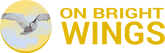 client-onbrightwings-1